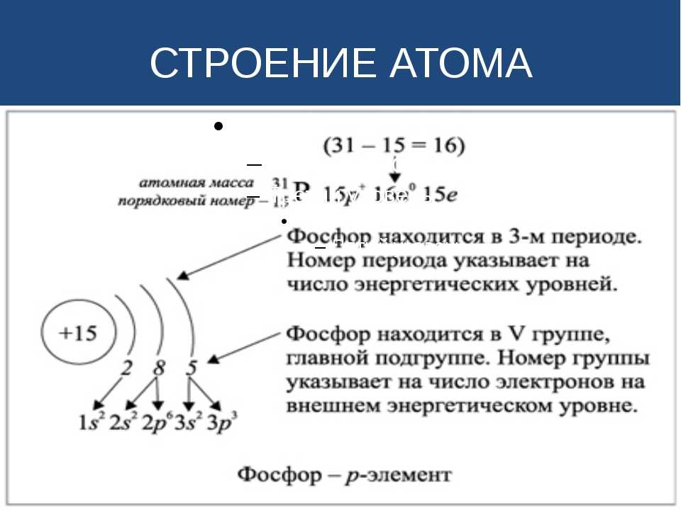 Биография атома