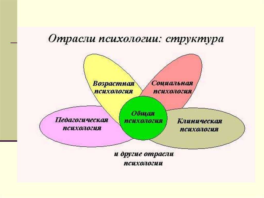 Место  психологии в системе наук: роль и задачи при изучении человека