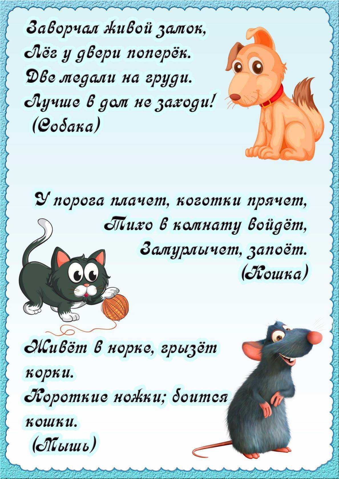 Загадки на логику с ответами для детей и взрослых