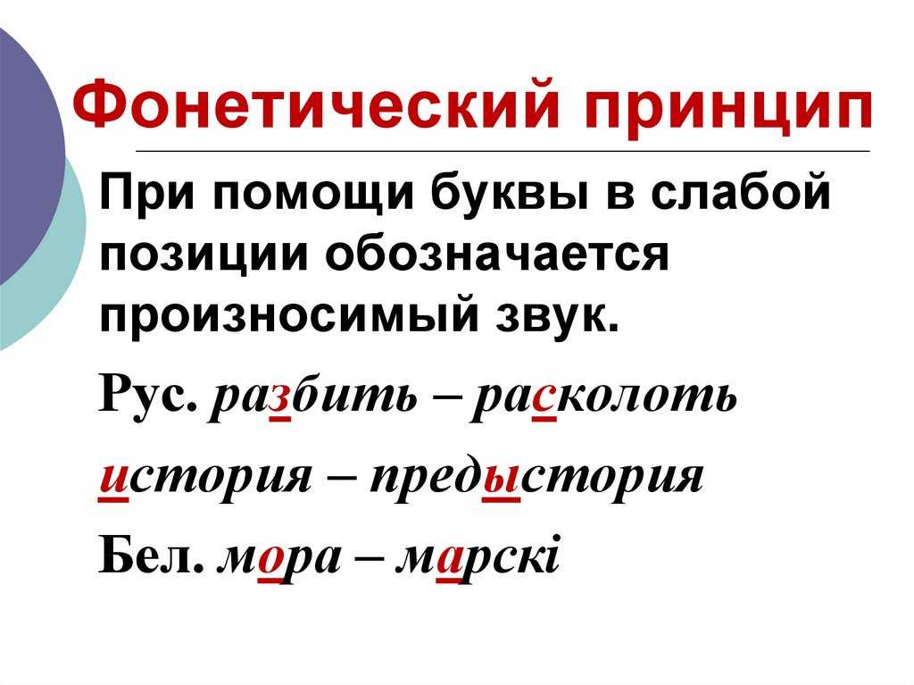 Орфоэпия: понятие в русском языке, определение и примеры