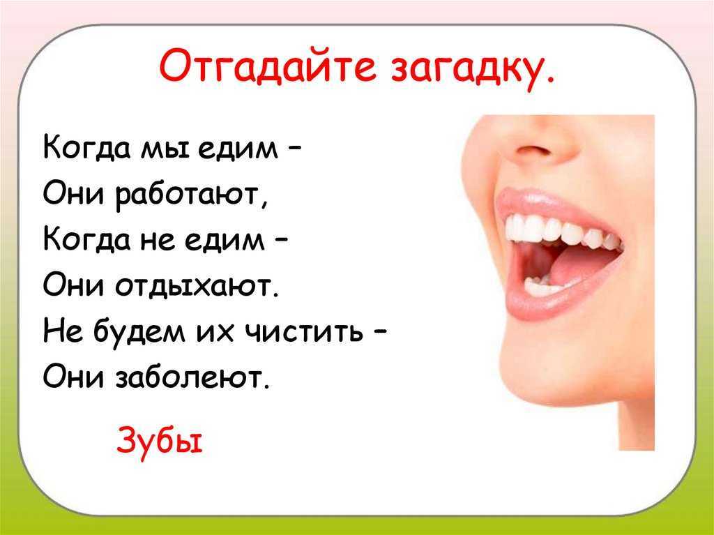 Загадки про зубы и десна. загадки про зубы для детей