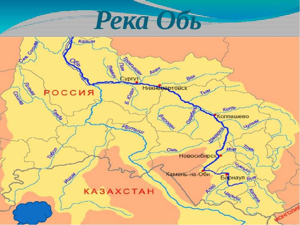 Река обь: карта, длина, глубина, ширина, притоки, рыбалка, барнаул и другие города