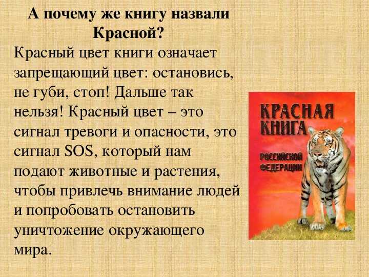 Доклад-сообщение: «о любом животном из красной книги»