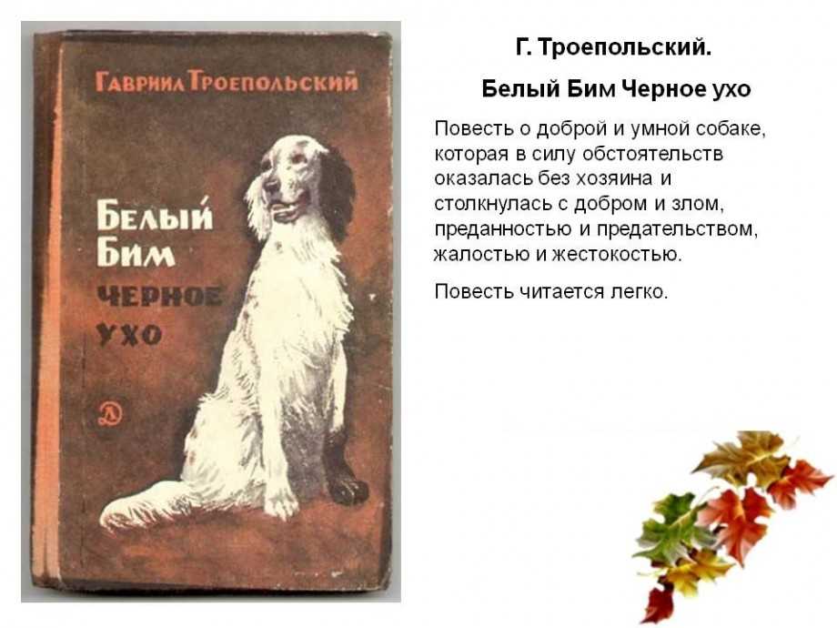 «белый бим черное ухо» очень краткое и подробное содержание