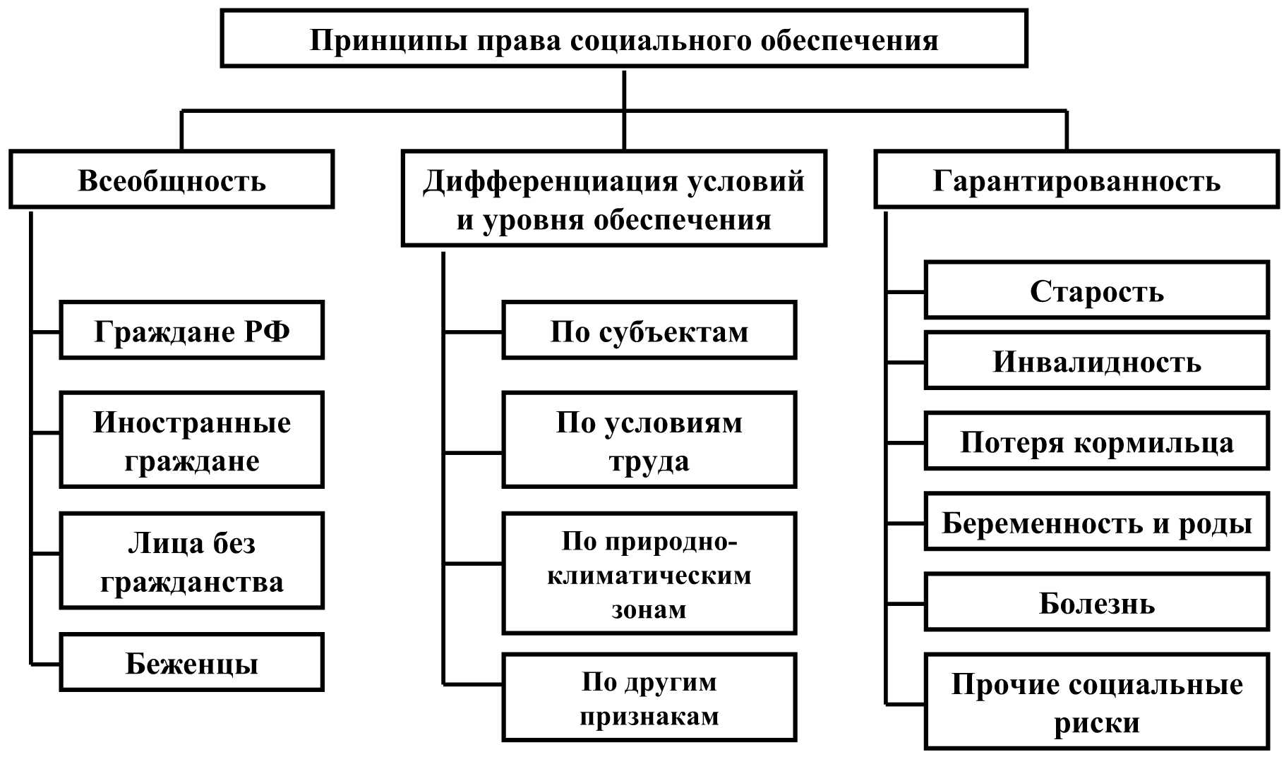 1.1 схема государственной системы органов социального обеспечения в рф