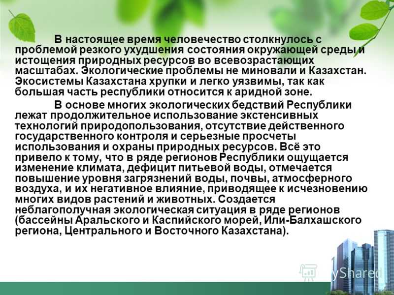 Сочинение экологические проблемы