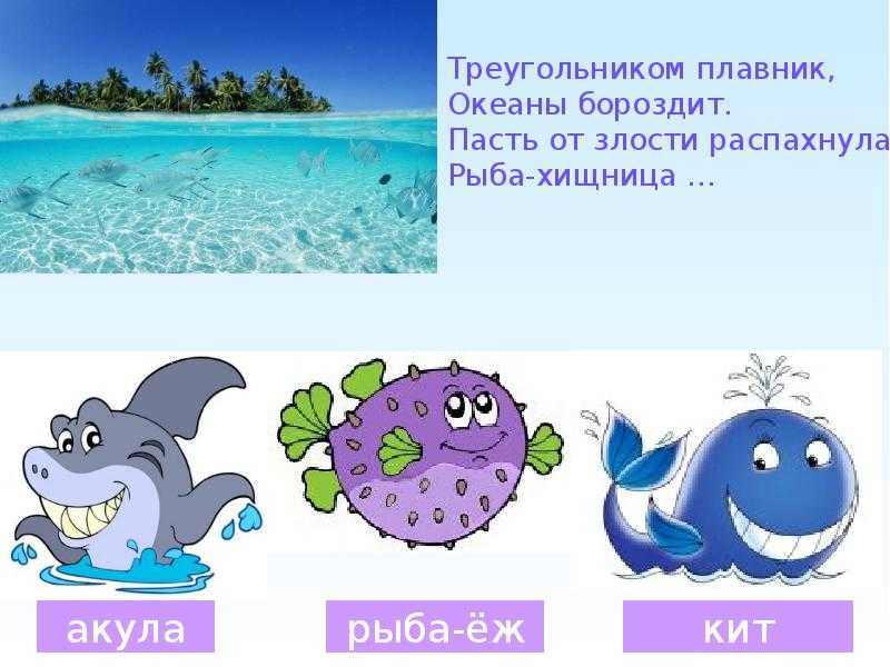 Загадки для детей о море и морских обитателях – картотека на тему: загадки про морских обитателей