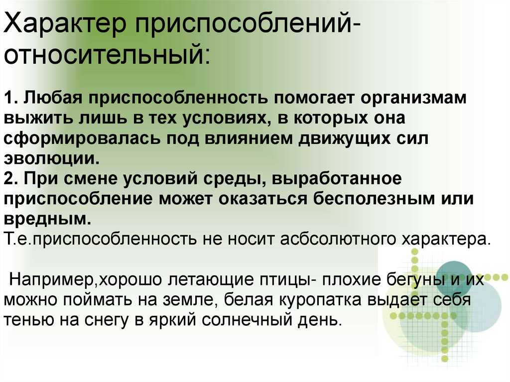 Приспособленность организмов к среде обитания - виды, черты характера и условия