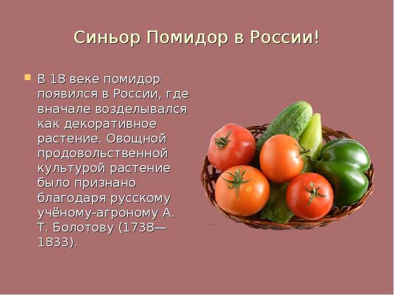 Плешаков. 3 класс. рт №2, с. 32 – 34 |  развивайка
