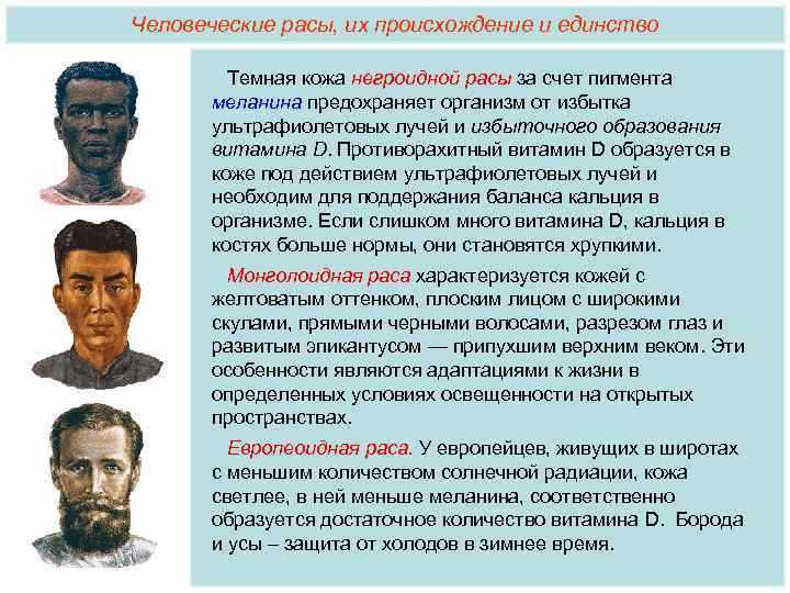 Что доказывает равноценность рас и принадлежность их к одному виду кратко