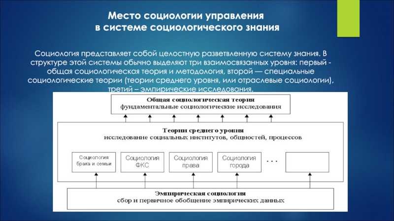 Социология и экономические науки: объединение сил для понимания взаимодействия общества и экономики