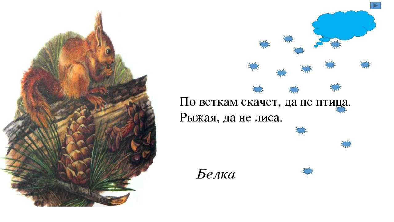55 загадок для самых маленьких детей с ответами