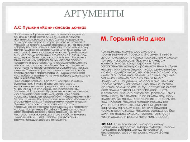 Сочинение нравственный выбор аргументы капитанская дочка