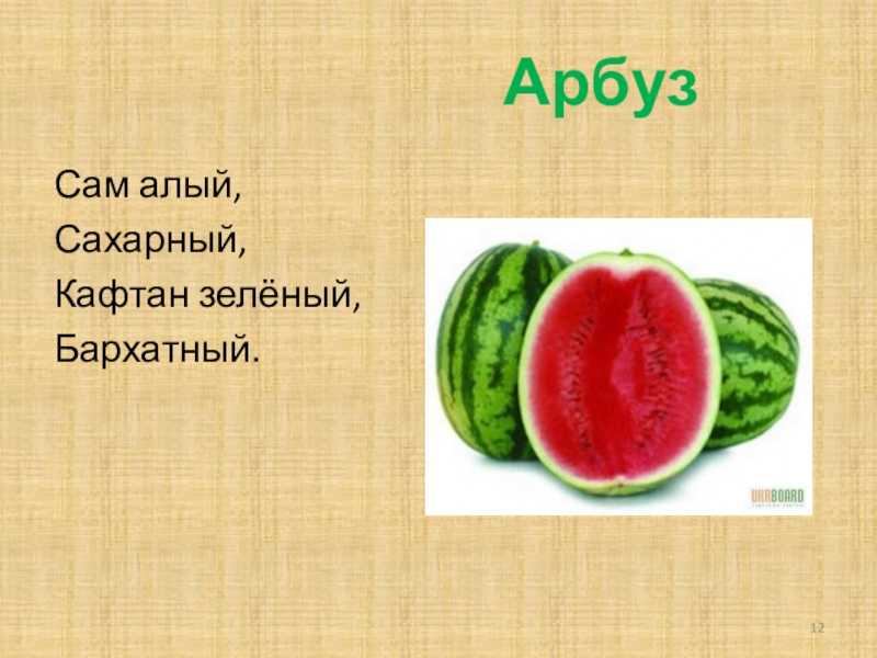 Лучшие загадки для детей 7-8 лет с ответами