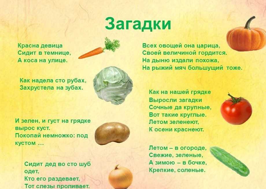 Самые известные детские загадки, популярные советские загадки