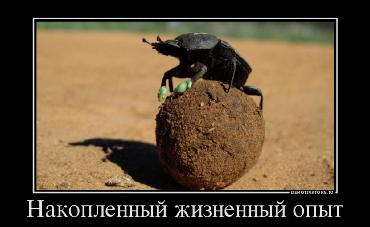 Цитаты про испытания