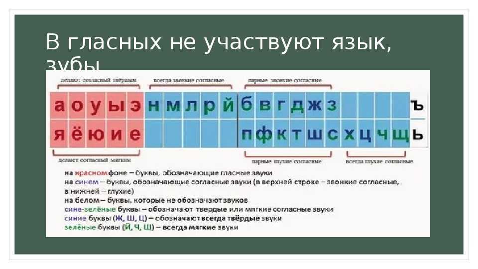 Буква ц: как она появилась в русском алфавите, как пишется