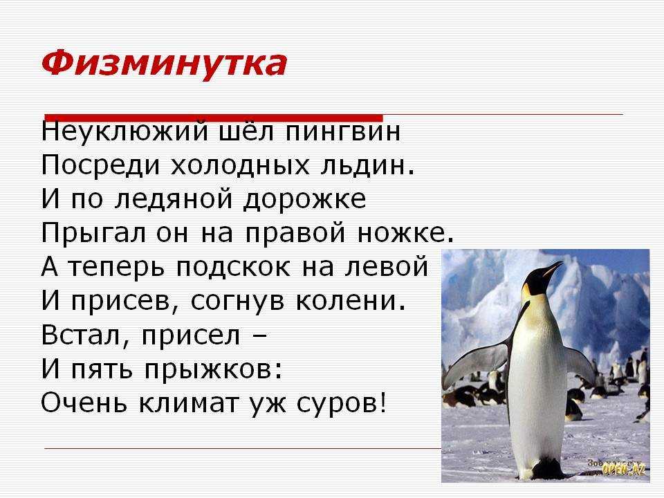 Смешные загадки обманки для детей с подвохом