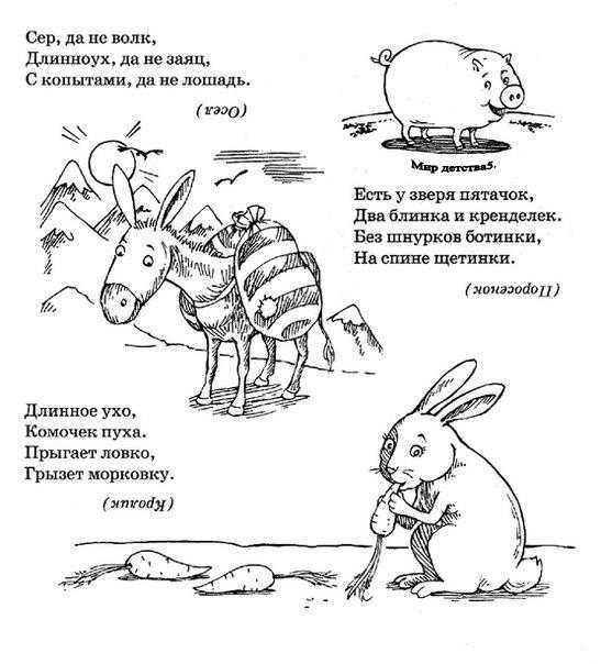 Загадки про животных для детей