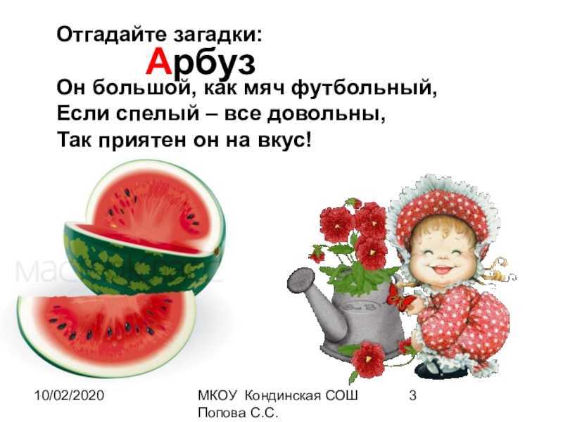 Загадки, придуманные детьми 1, 2, 3, 4 классов