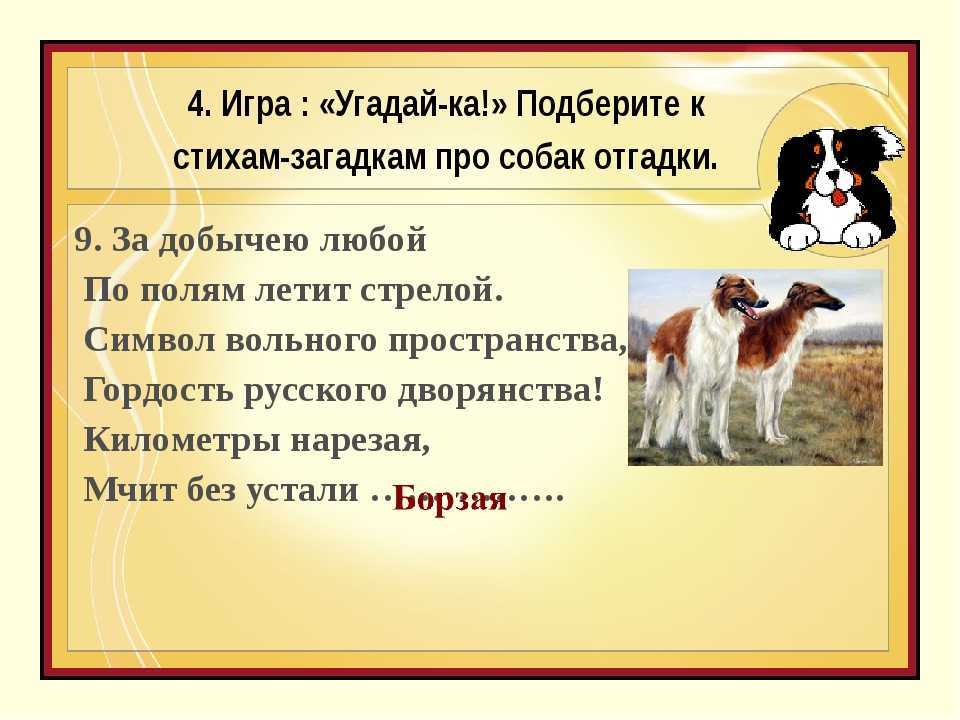 Загадки про собаку для детей 8 лет