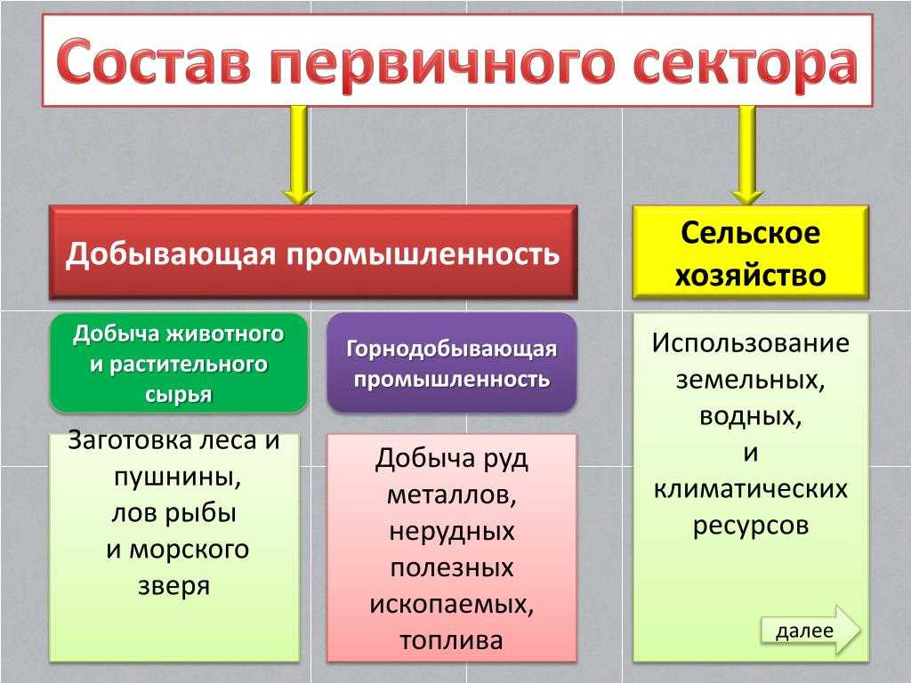 Структура экономики россии: первичный, вторичный и третичный секторы