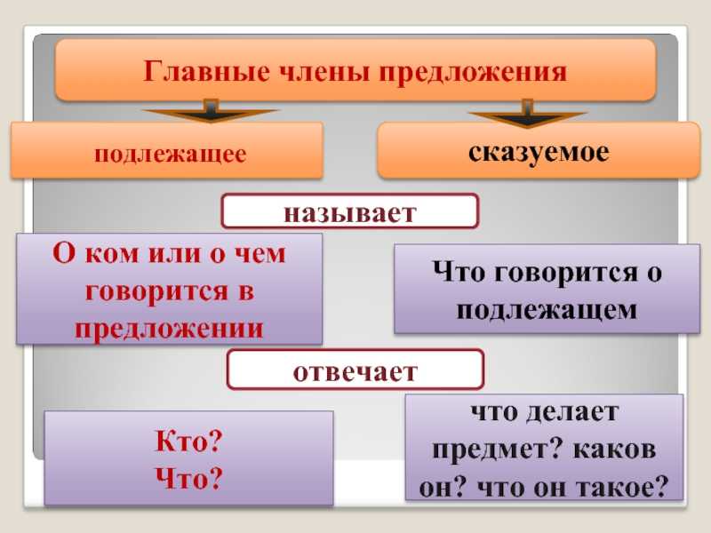 2 классглавные и второстепенные члены предложения. распространённые и нераспространённые предложения