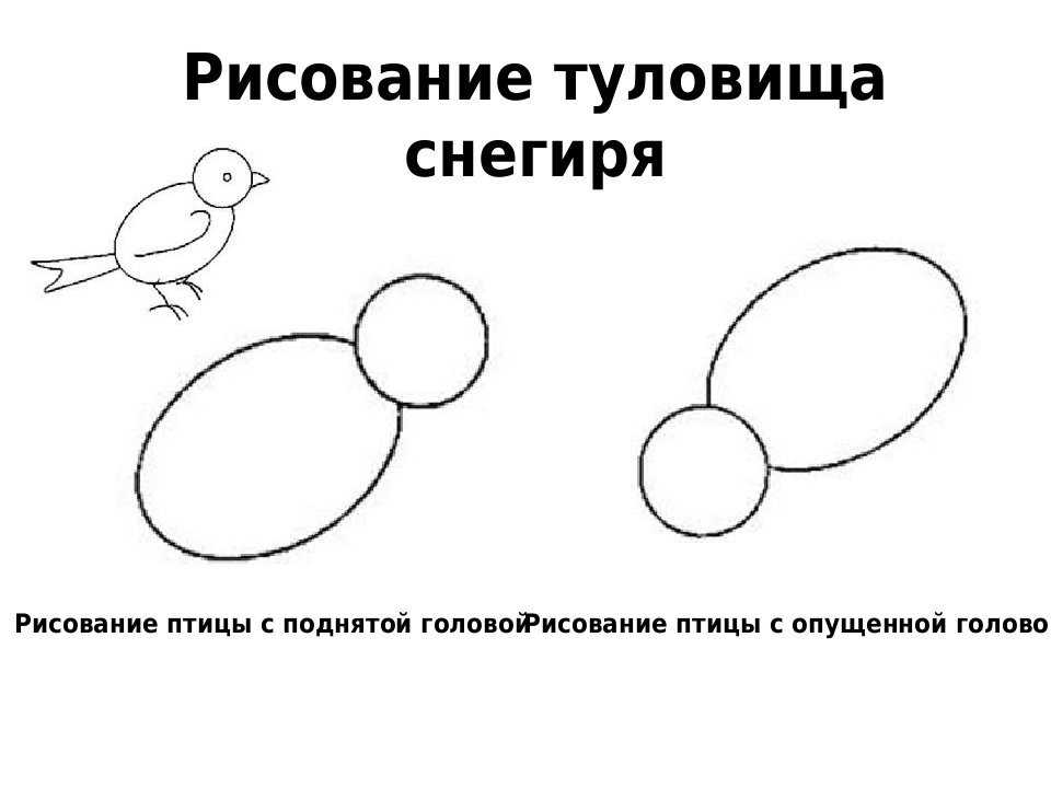 Конспект занятия по рисованию в средней группе на тему домашние птицы