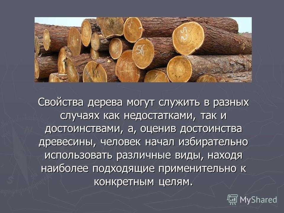 Краткая история художественной обработки древесины. область применения древесных пород