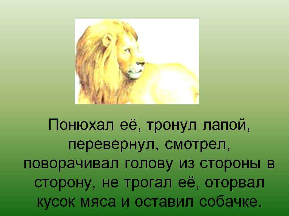 «лев и собачка» читательский дневник
