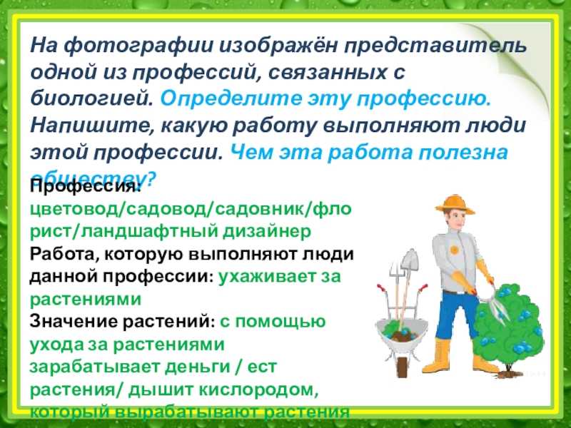 Садовник чем полезна эта работа обществу. профессия садовник