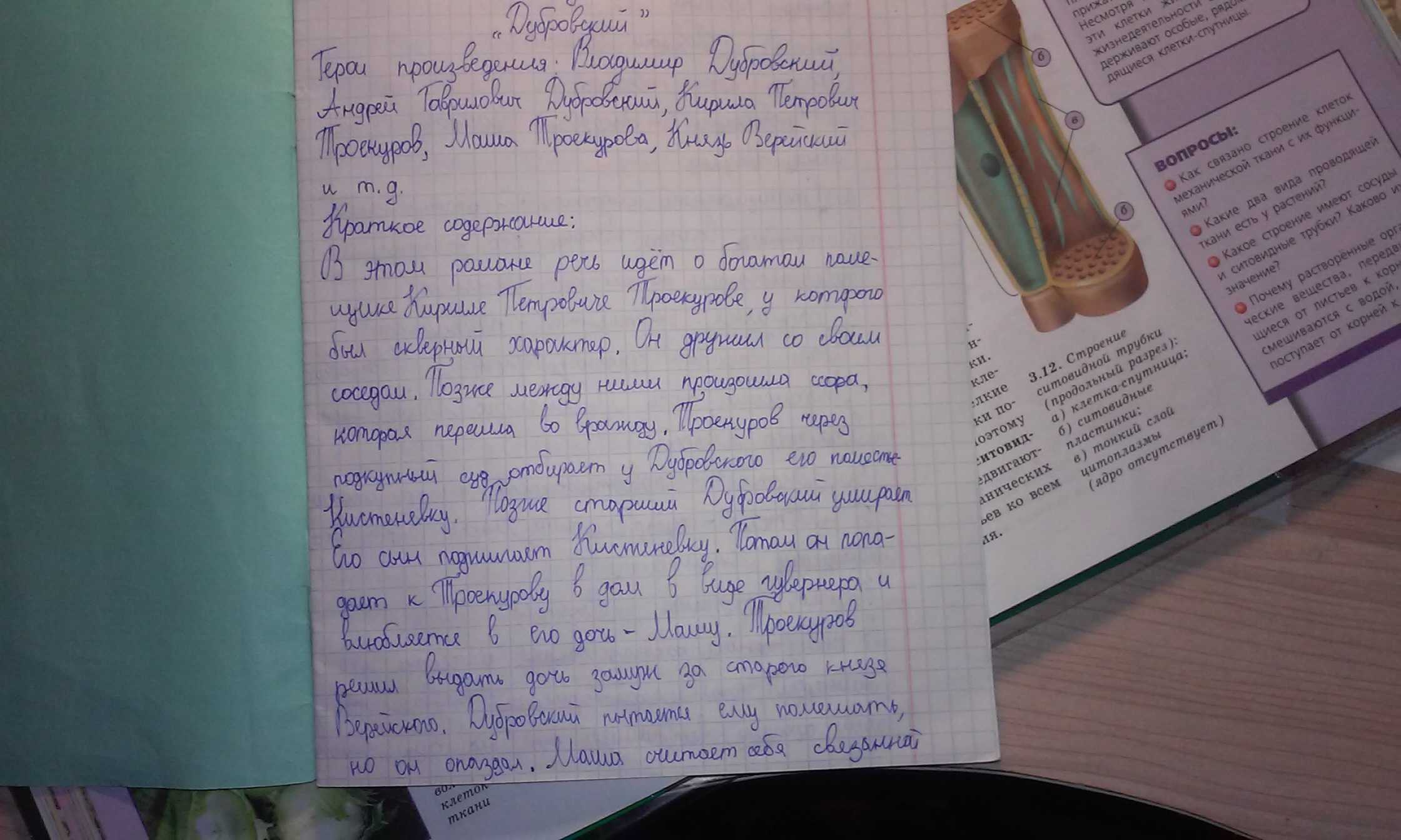 Сочинение по произведению дубровский пушкина