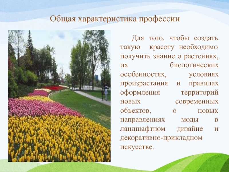 Чем эта работа полезна обществу садовод. профессия садовник.  кто такой садовник. описание профессии