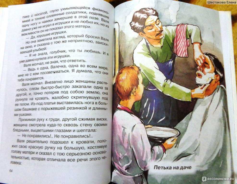 «петька на даче», анализ рассказа андреева