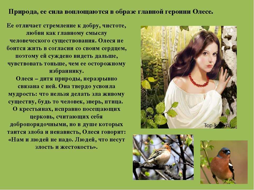 Главные герои «олеся» характеристика персонажей произведения куприна списком