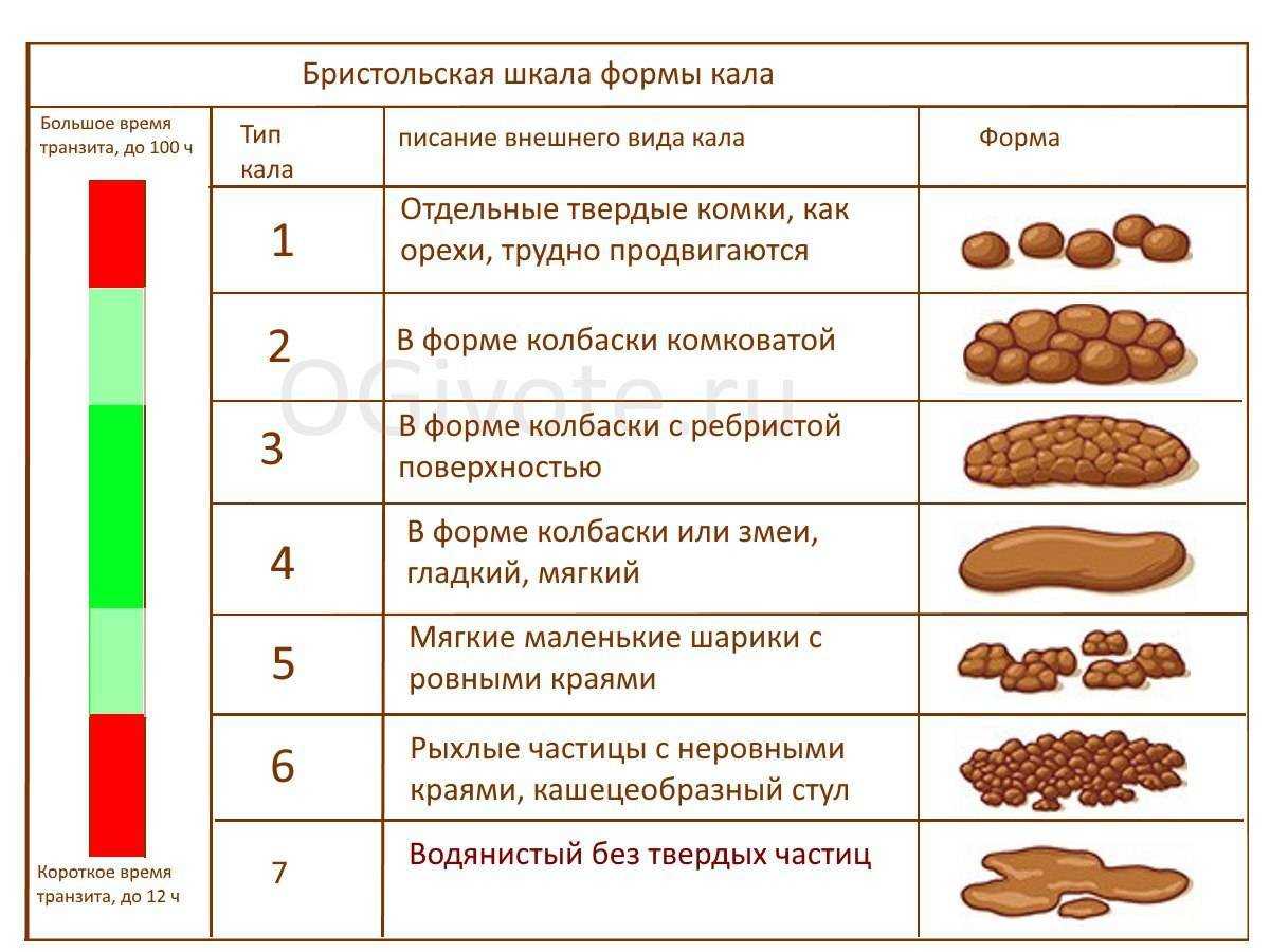 50 смешных историй про понос, которые заставят вас улыбнуться