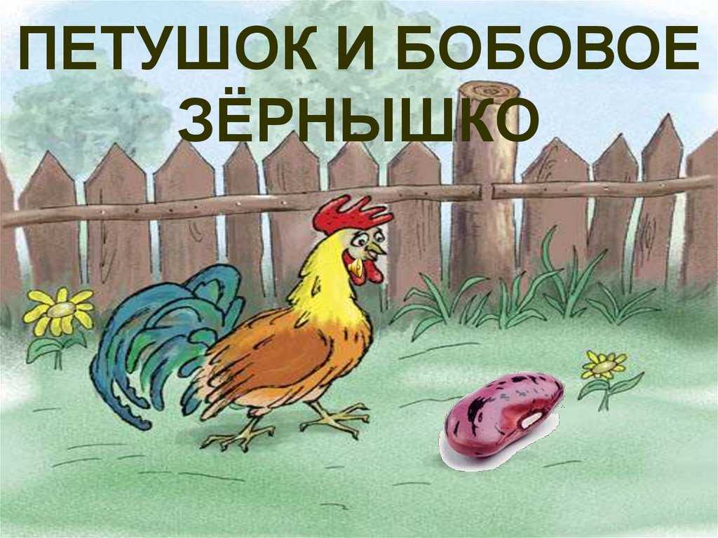 Петушок и бобовое зёрнышко. (обработка о.капицы) автор презентации татьяна лучникова. - презентация