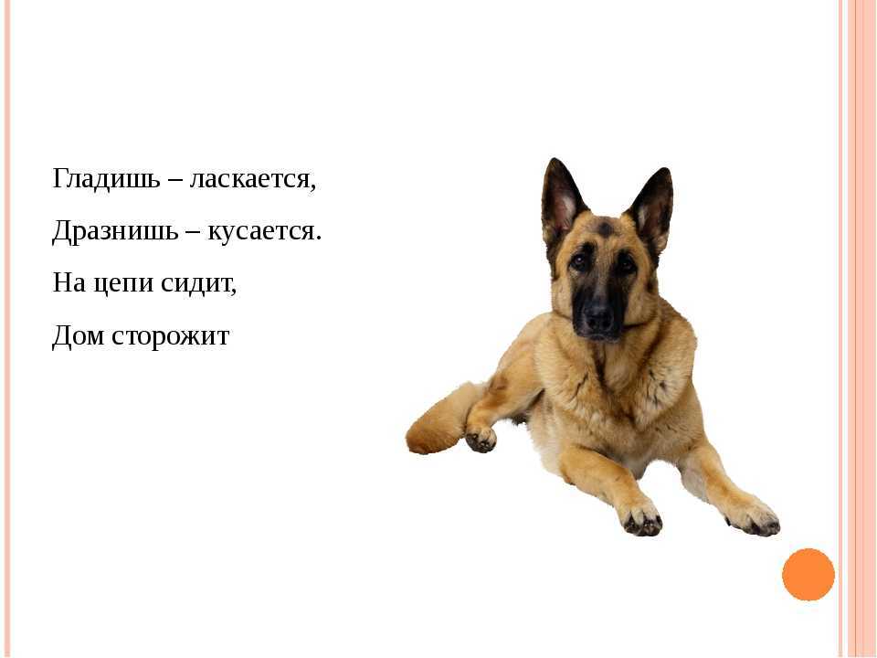 Загадки про холодильник: 40 головоломок для викторин, утренников и домашнего квеста / mama66.ru
