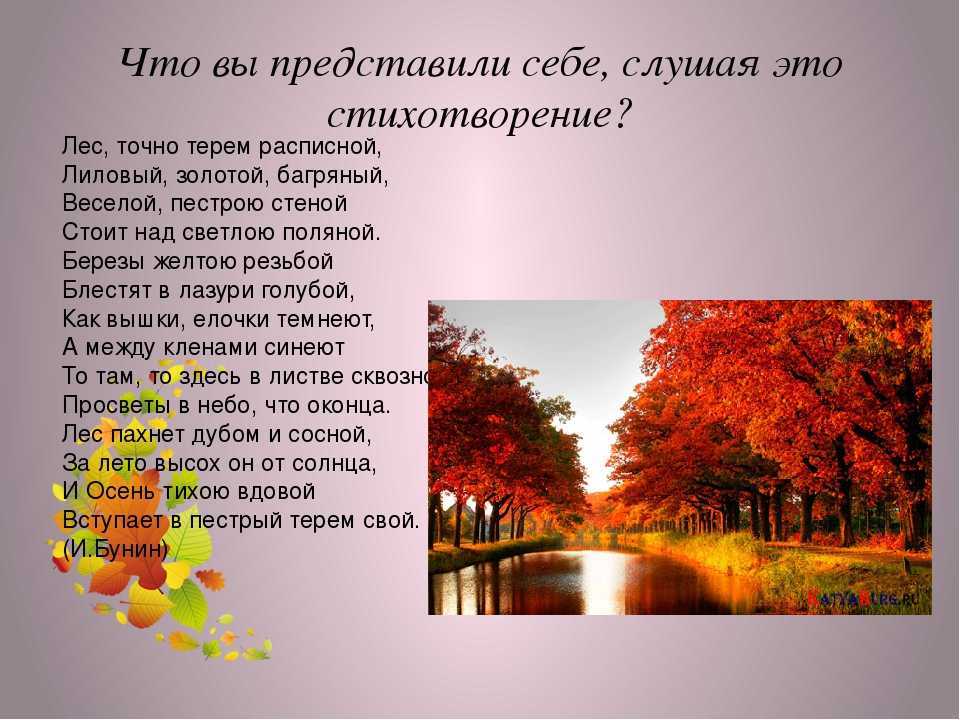 Рассказ про осень