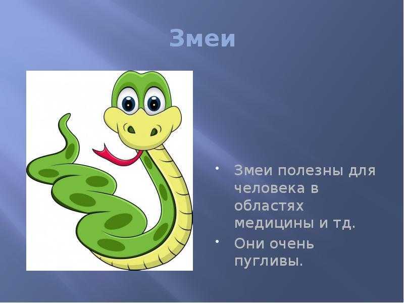Загадки про змей с ответами