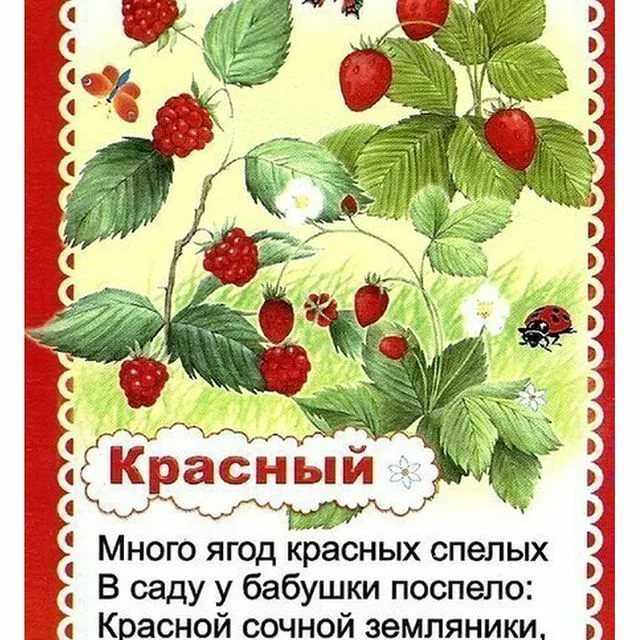 Загадки про цветы