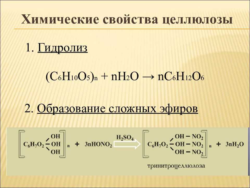 Что такое целлюлоза?. все обо всем. том 1