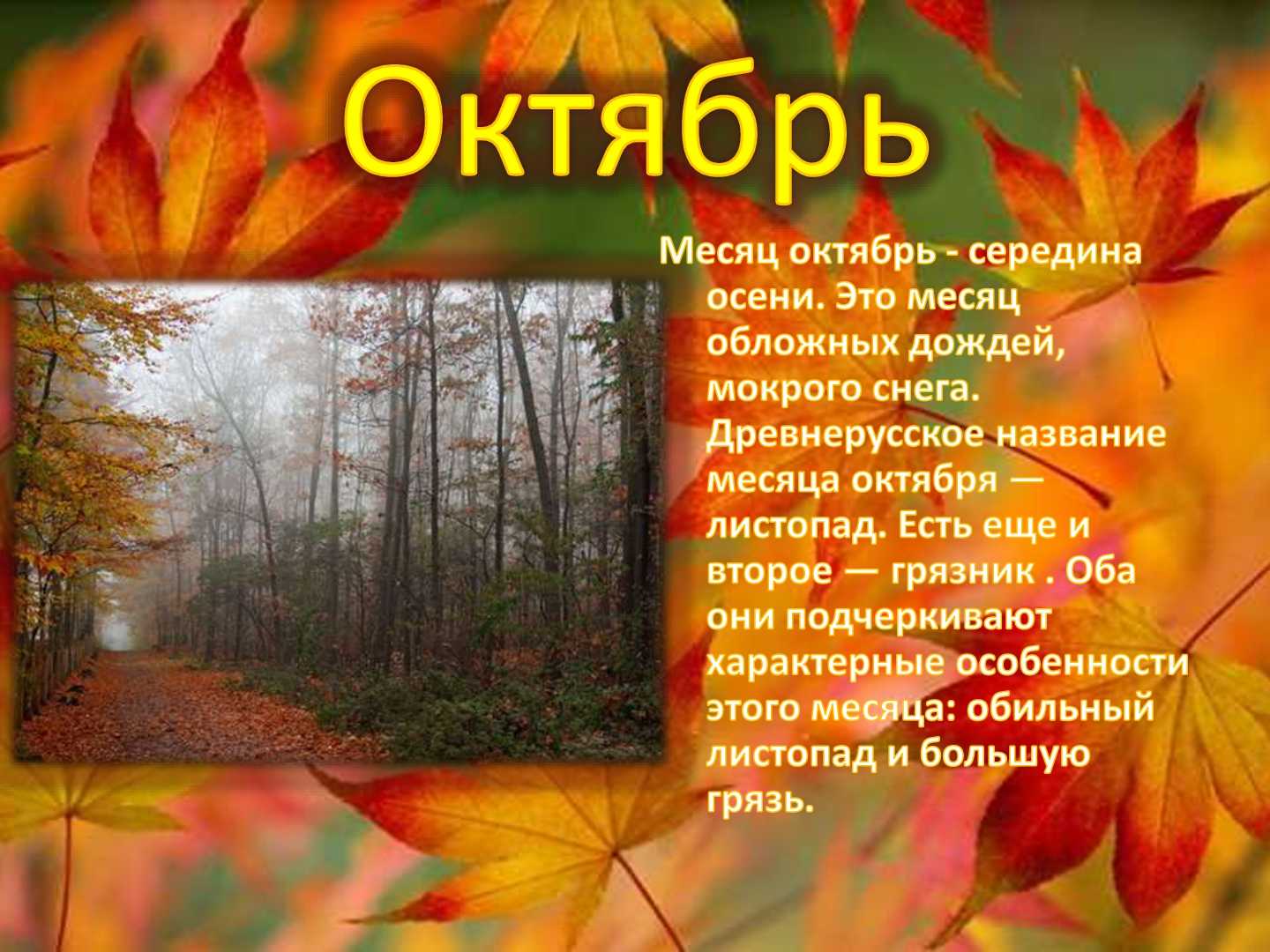 Стихи про осень русских поэтов-классиков