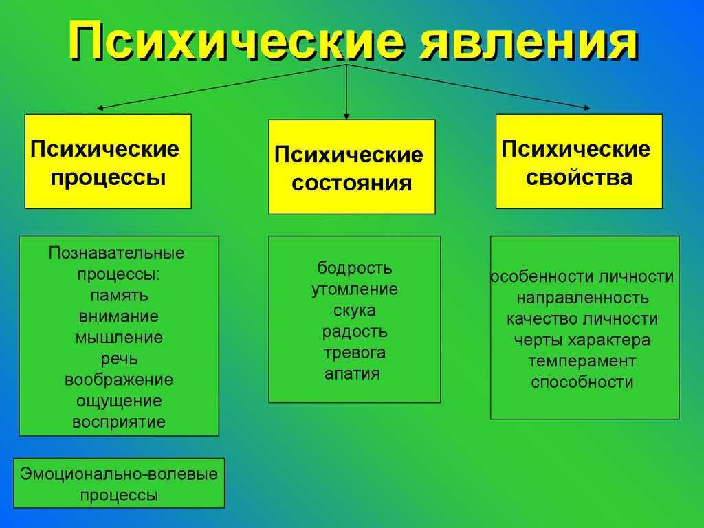 Психические явления: формы, явления и свойства, методы, классификация, особенности, характеристика, мышление, как называется, структура