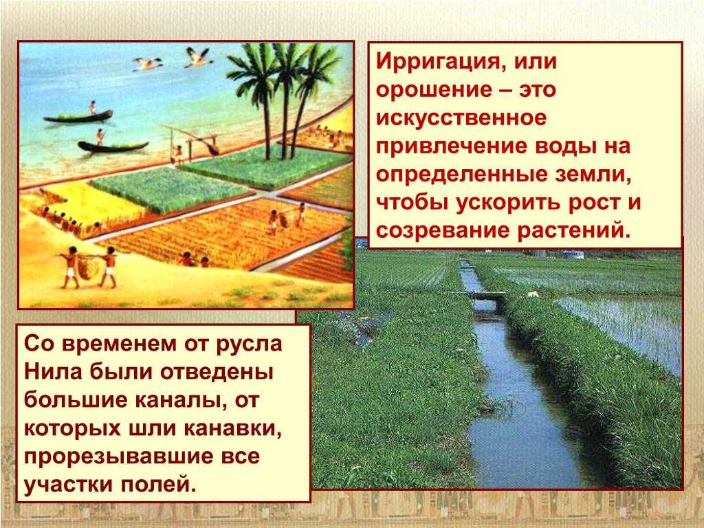 Орошение в древнем египте: определение и краткое описание для 5 класса