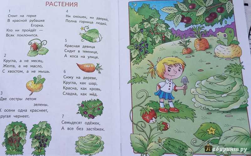 Загадки на логику для детей: 100 занимательных задач