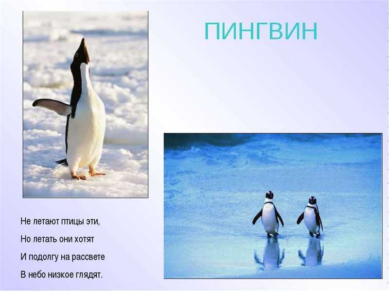 Загадки детям — по возрасту