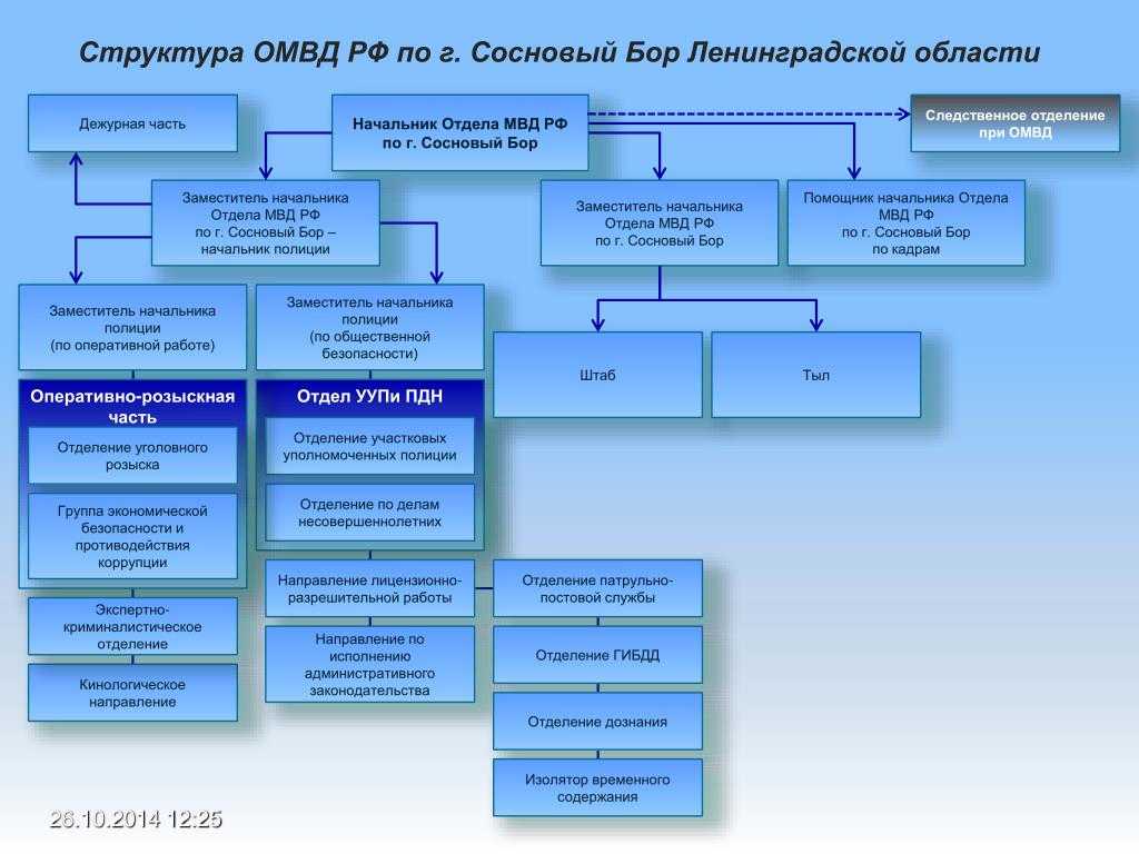 Организационная структура подразделений полиции, осуществляющих охрану общественного порядка