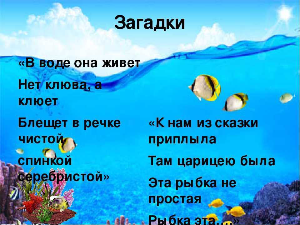 Загадки про воду и всё, что связано с водой
