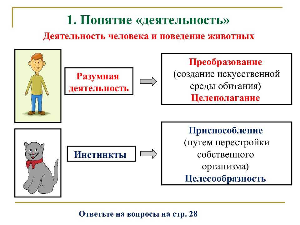 Презентация - человек и его деятельность
